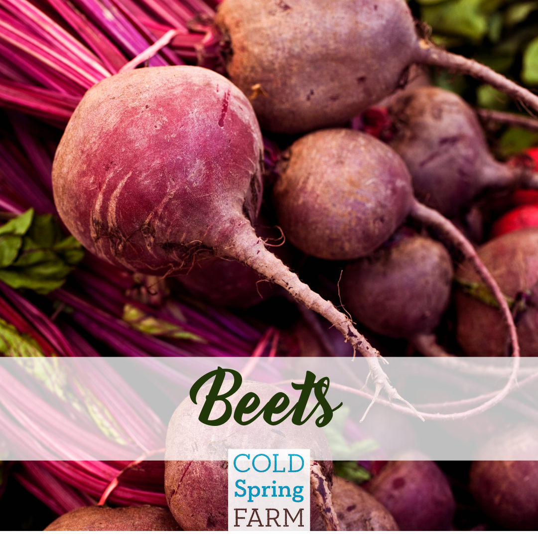 Fresh Beets — Cold Spring Farm